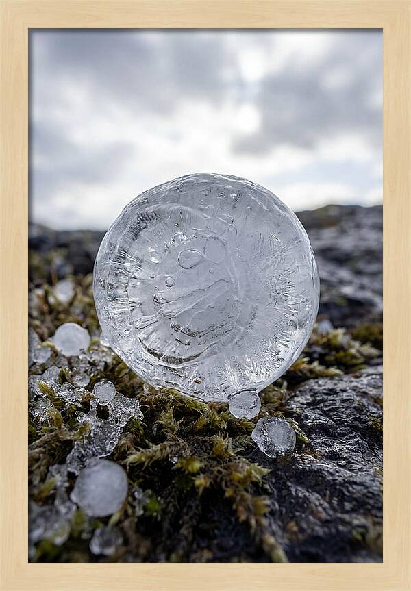 Hailstones On Mossy Rock