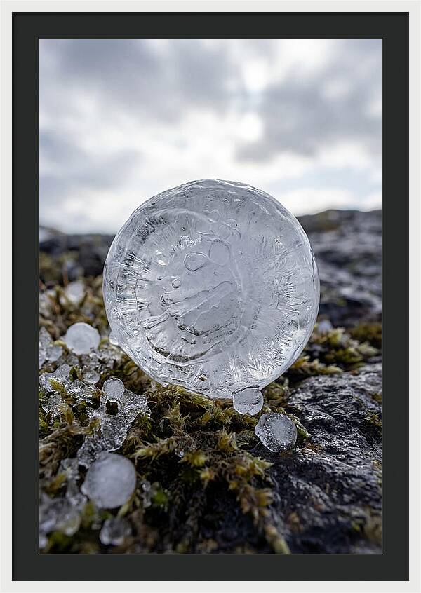 Hailstones On Mossy Rock
