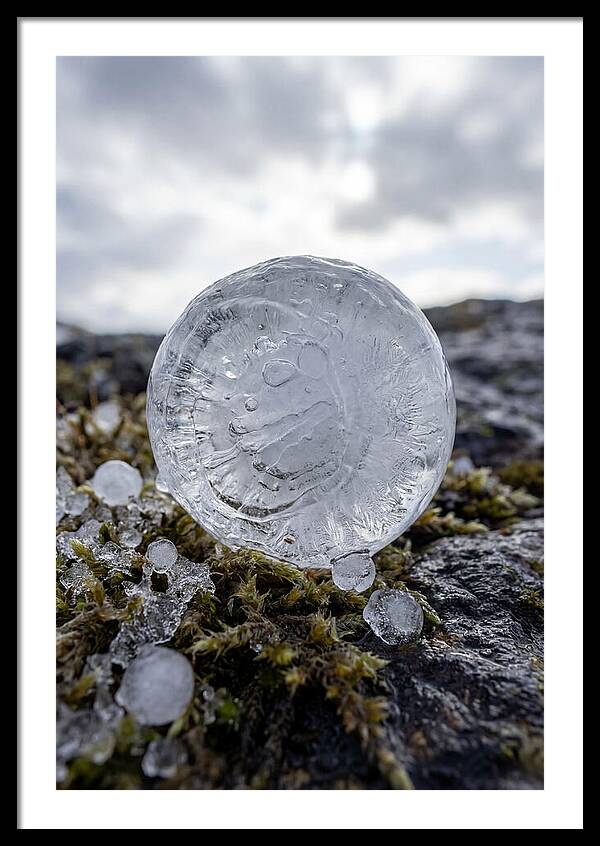 Hailstones On Mossy Rock