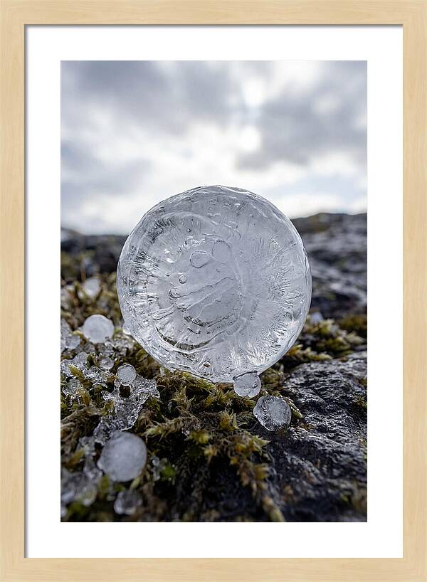 Hailstones On Mossy Rock