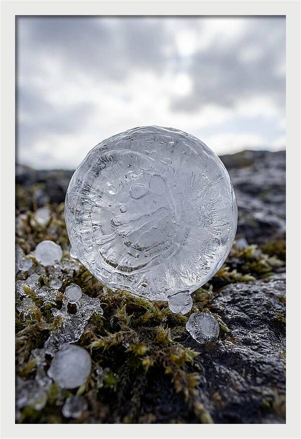 Hailstones On Mossy Rock