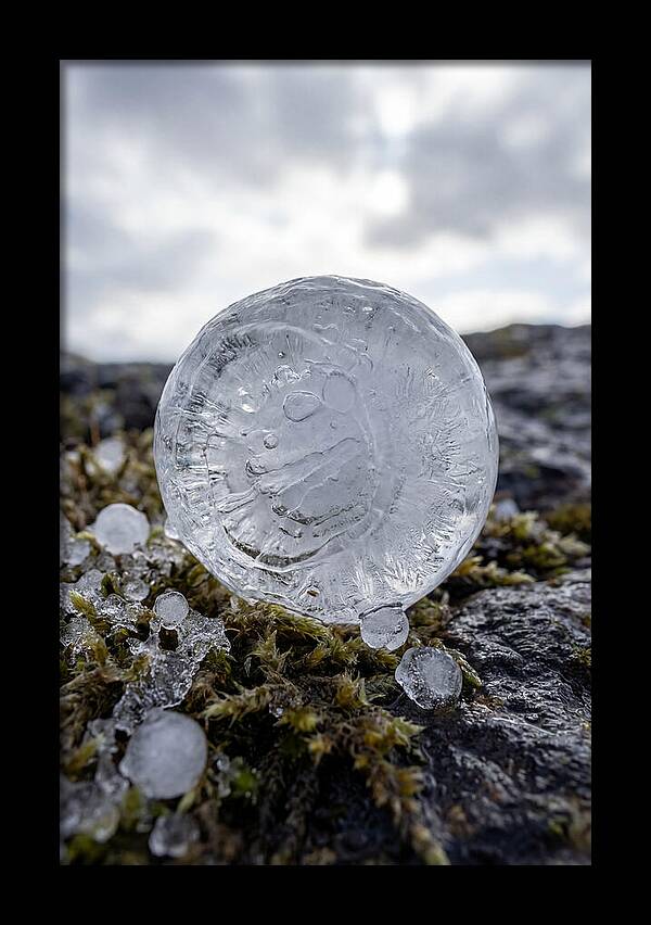 Hailstones On Mossy Rock