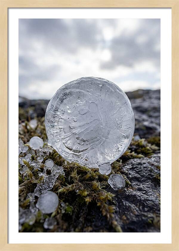 Hailstones On Mossy Rock