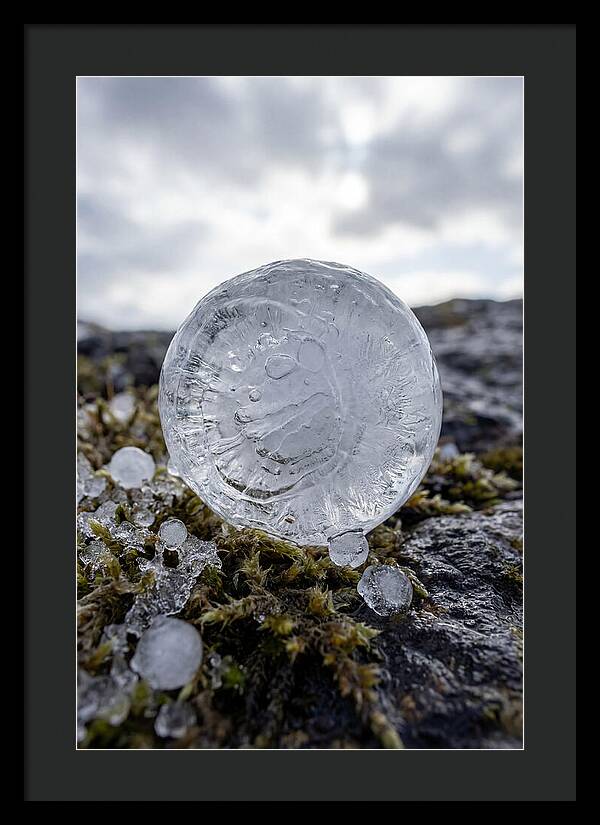 Hailstones On Mossy Rock