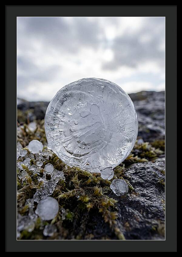 Hailstones On Mossy Rock