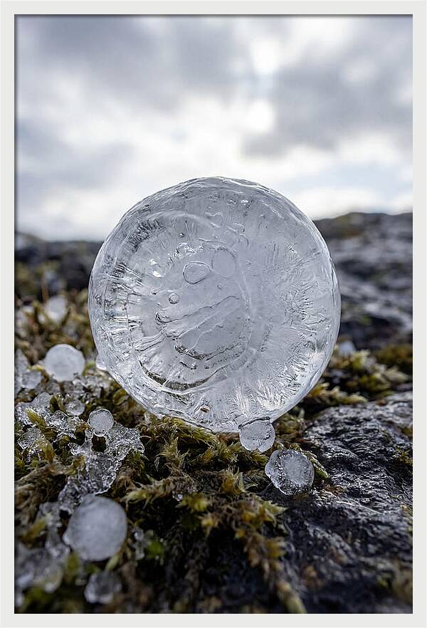 Hailstones On Mossy Rock