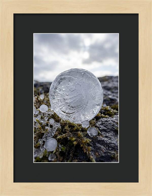 Hailstones On Mossy Rock