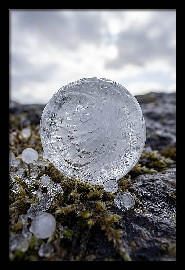 Hailstones On Mossy Rock