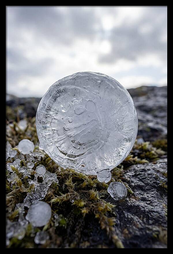 Hailstones On Mossy Rock