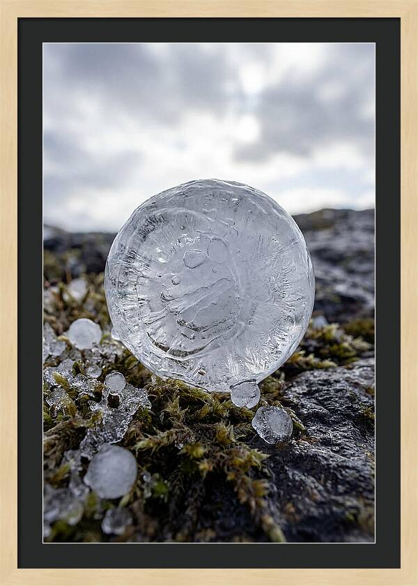 Hailstones On Mossy Rock