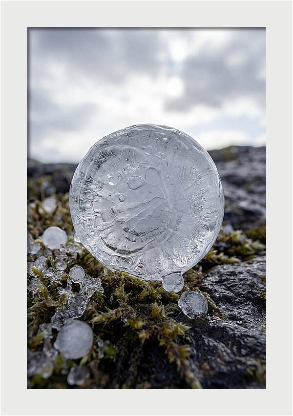 Hailstones On Mossy Rock