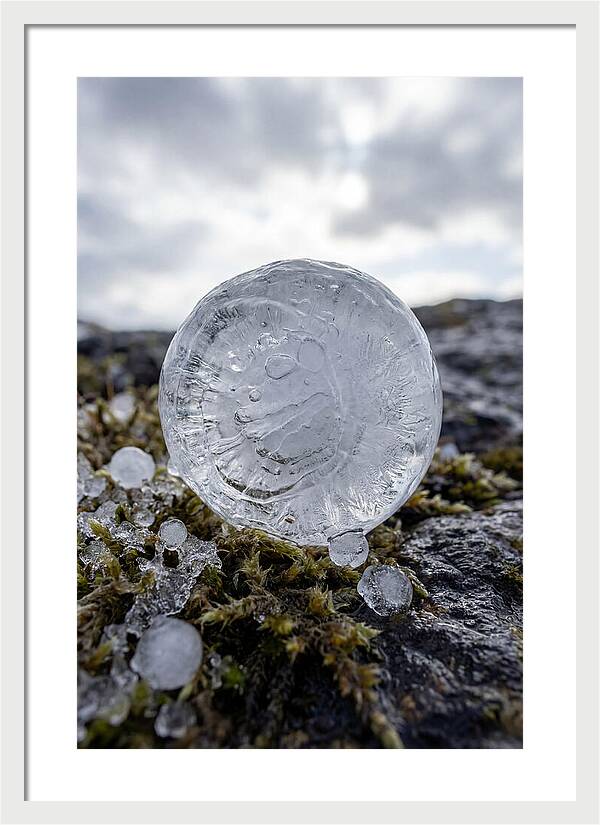 Hailstones On Mossy Rock