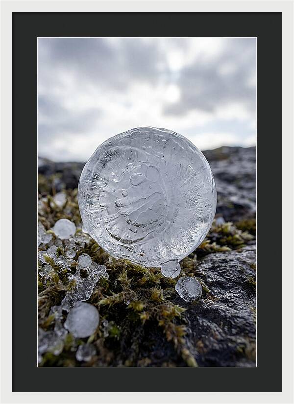 Hailstones On Mossy Rock