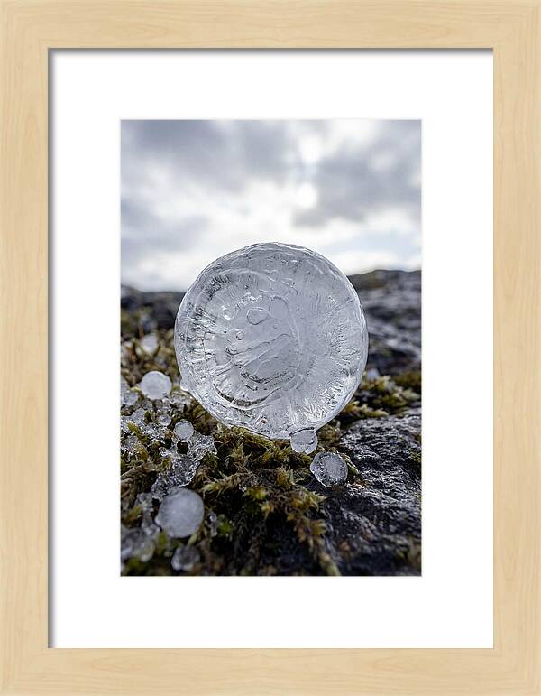 Hailstones On Mossy Rock
