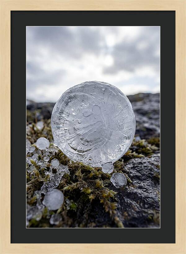 Hailstones On Mossy Rock