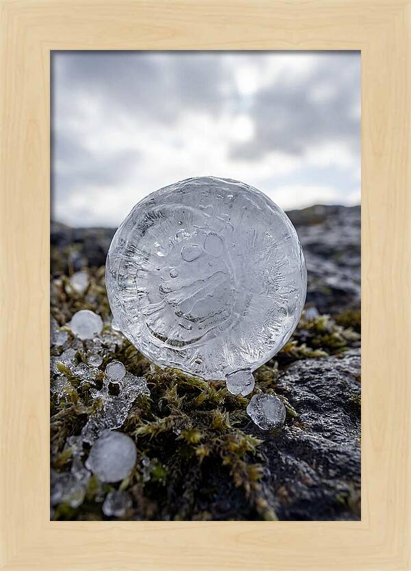 Hailstones On Mossy Rock