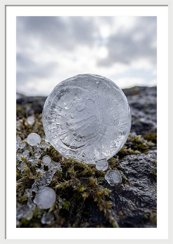 Hailstones On Mossy Rock