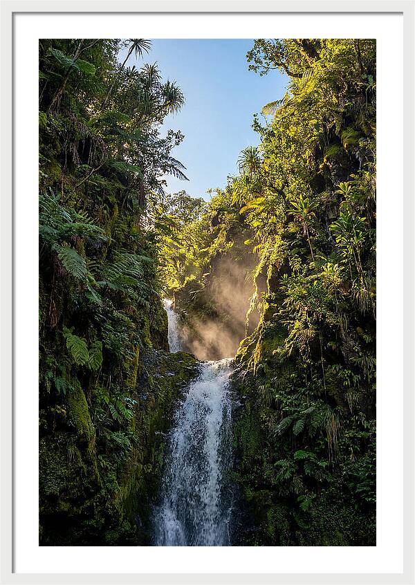Hamakua Coast Waterfall Serenity
