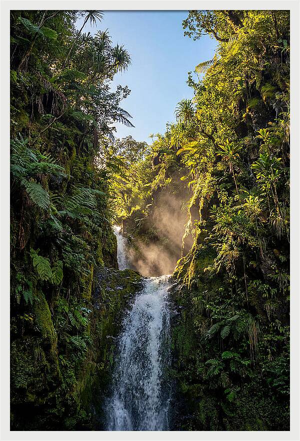 Hamakua Coast Waterfall Serenity