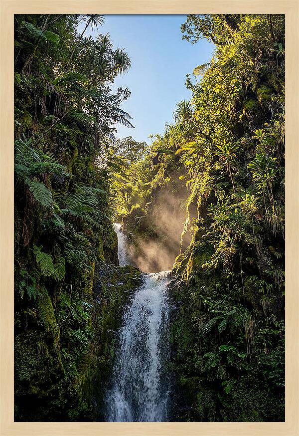 Hamakua Coast Waterfall Serenity