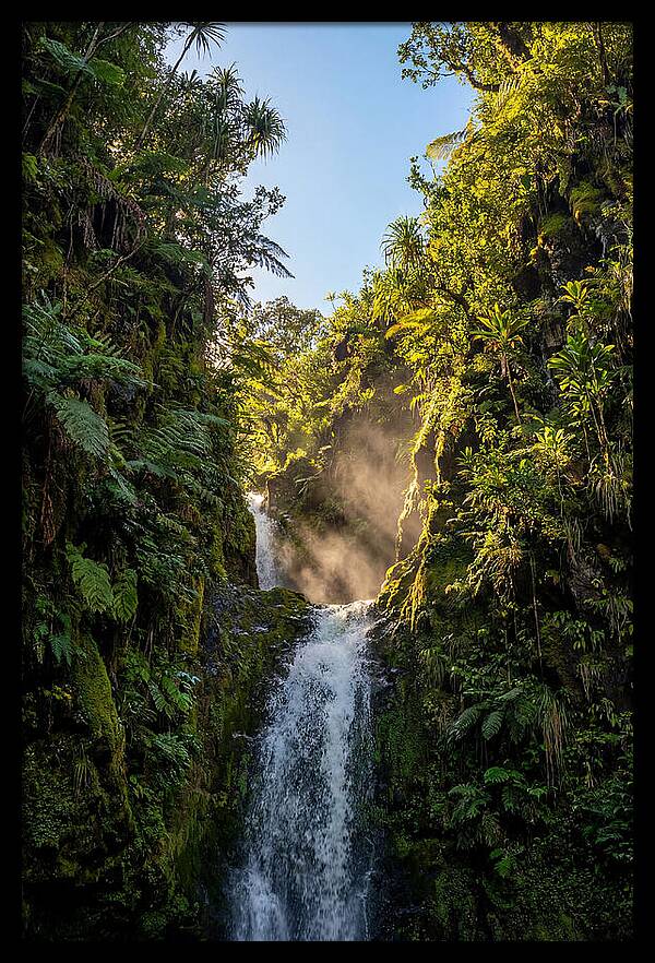 Hamakua Coast Waterfall Serenity
