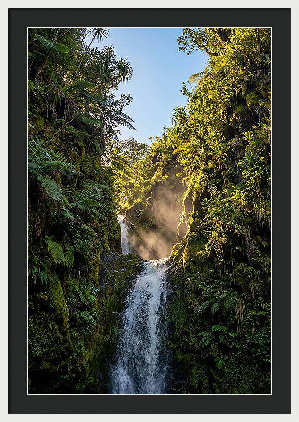 Hamakua Coast Waterfall Serenity