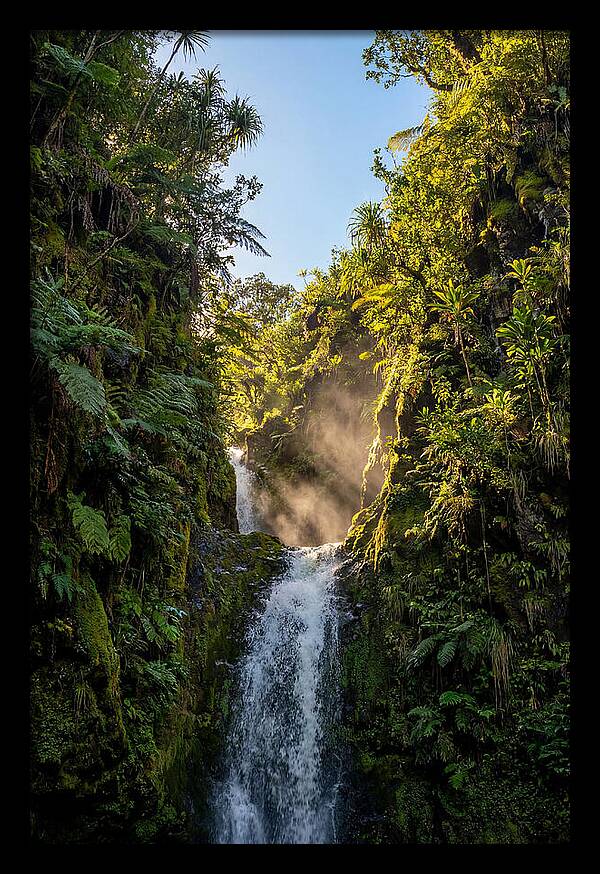 Hamakua Coast Waterfall Serenity