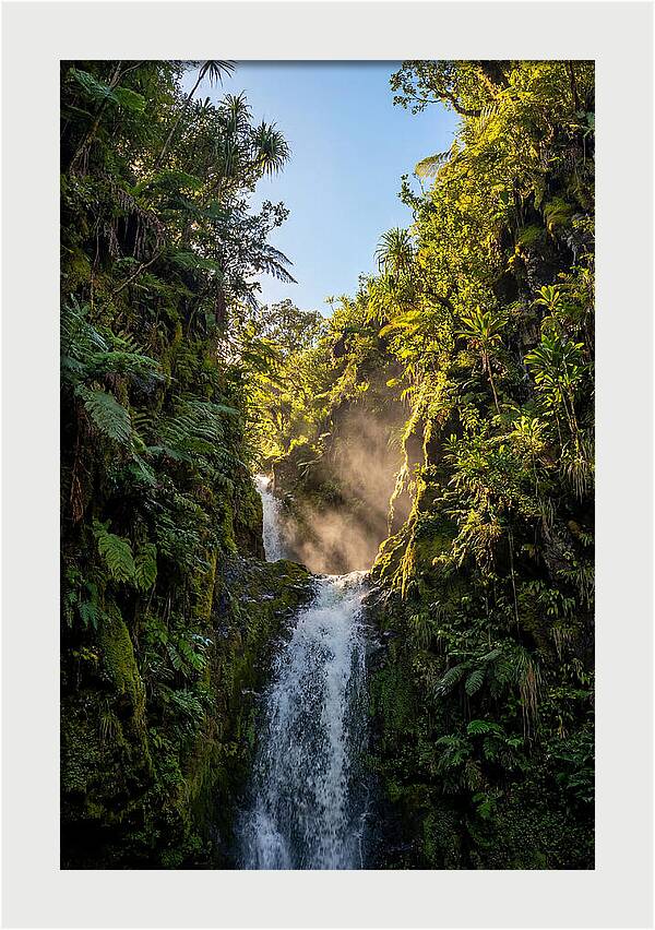 Hamakua Coast Waterfall Serenity