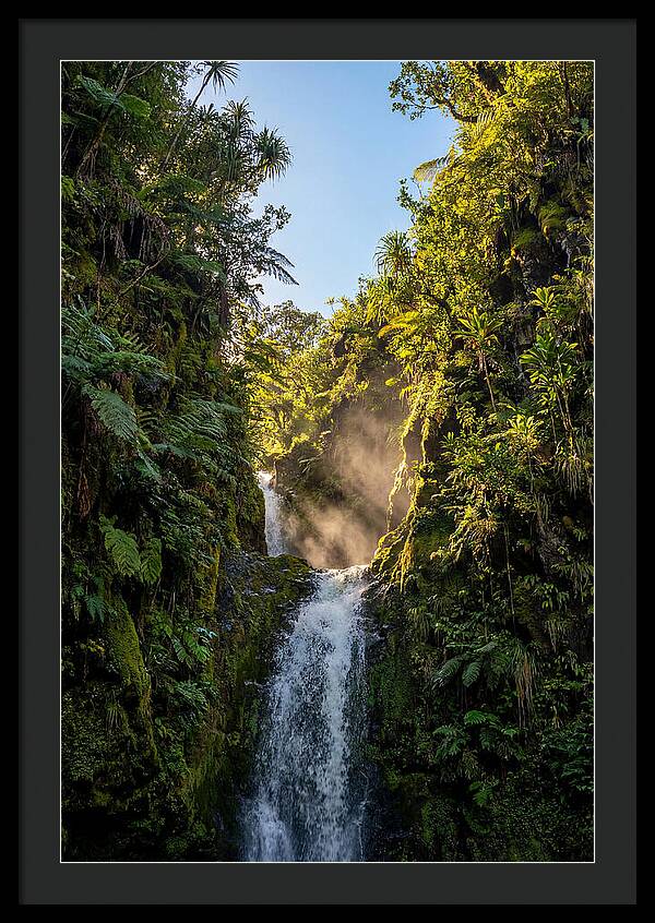 Hamakua Coast Waterfall Serenity