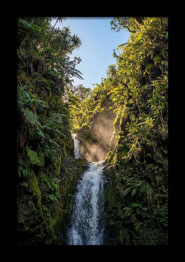 Hamakua Coast Waterfall Serenity