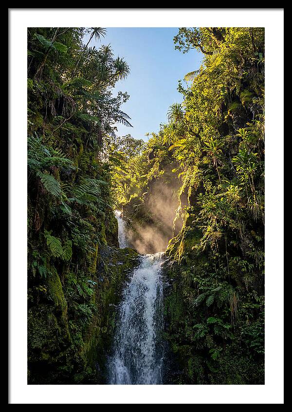 Hamakua Coast Waterfall Serenity