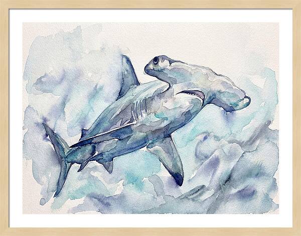 Hammerhead Shark Serenity