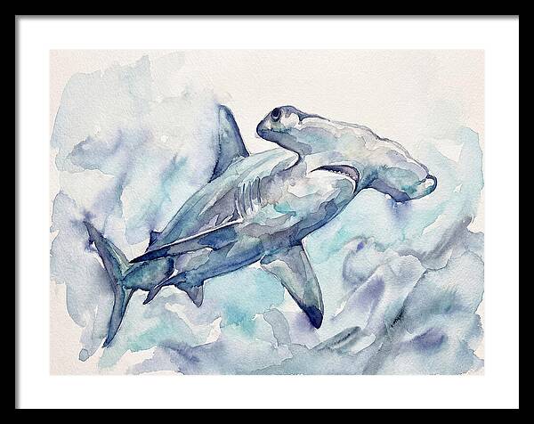 Hammerhead Shark Serenity