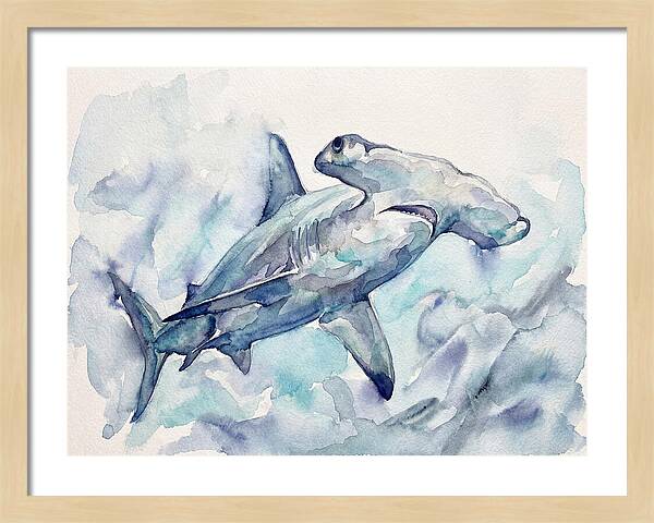 Hammerhead Shark Serenity