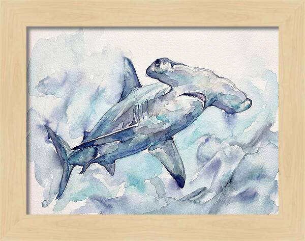 Hammerhead Shark Serenity