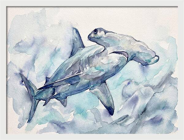 Hammerhead Shark Serenity