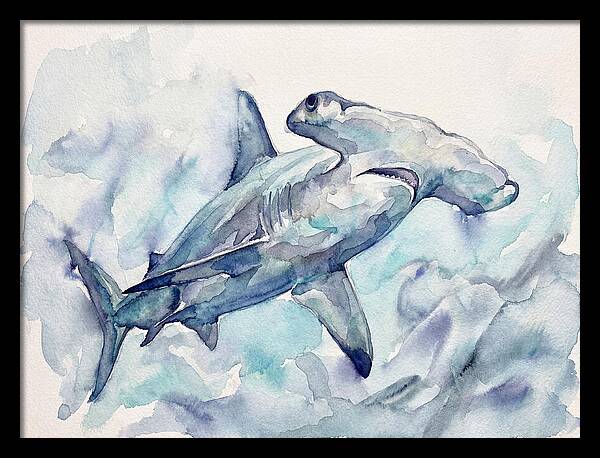 Hammerhead Shark Serenity