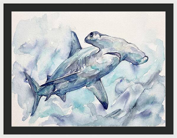 Hammerhead Shark Serenity