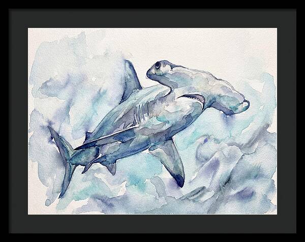 Hammerhead Shark Serenity