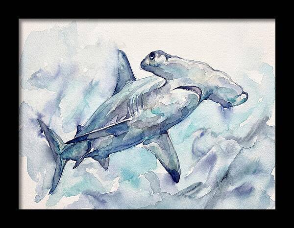 Hammerhead Shark Serenity