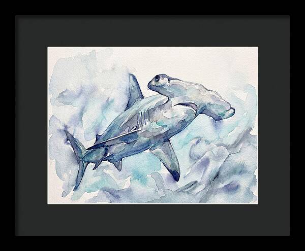 Hammerhead Shark Serenity