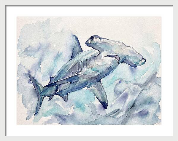 Hammerhead Shark Serenity