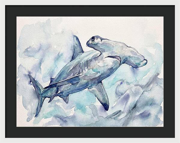 Hammerhead Shark Serenity