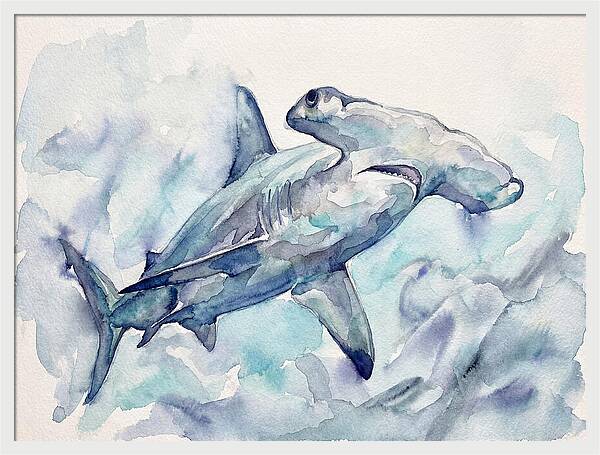 Hammerhead Shark Serenity