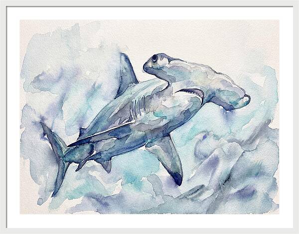 Hammerhead Shark Serenity