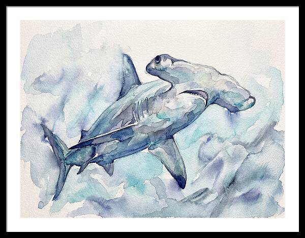 Hammerhead Shark Serenity
