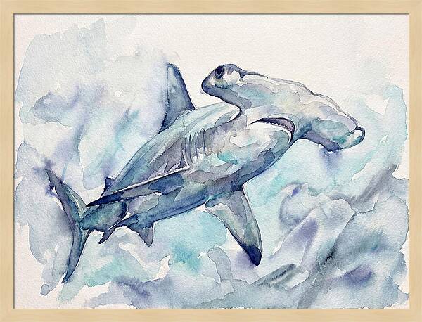 Hammerhead Shark Serenity