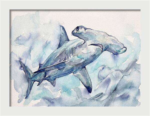 Hammerhead Shark Serenity
