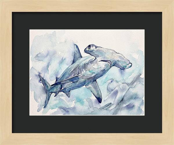 Hammerhead Shark Serenity