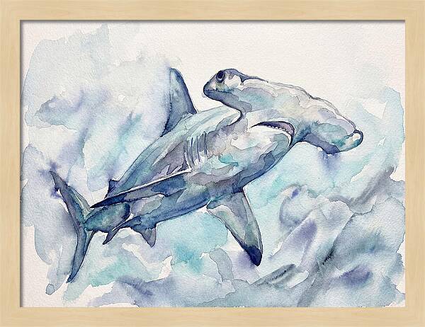 Hammerhead Shark Serenity